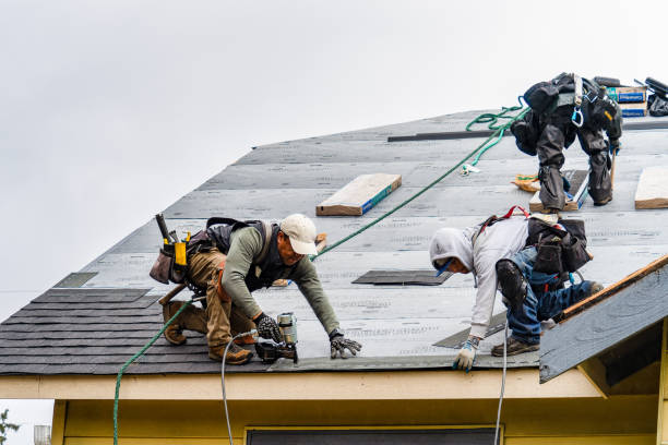 Professional Roofing technician working in Olanta, PA